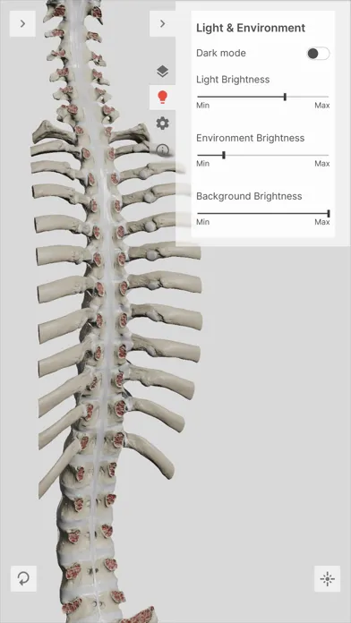 Biomechanics of the Spine Lite 스크린샷