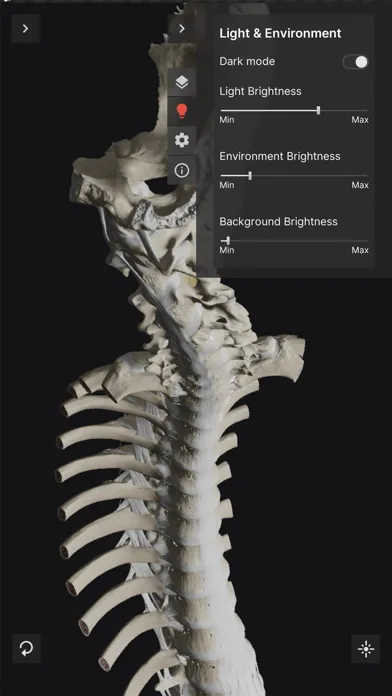 Biomechanics of the Spine Lite 스크린샷