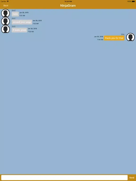 ภาพหน้าจอของ NinjaGram iPad