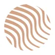 Skinerica