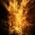 Test Application WP : 01