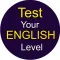 Test Your English.