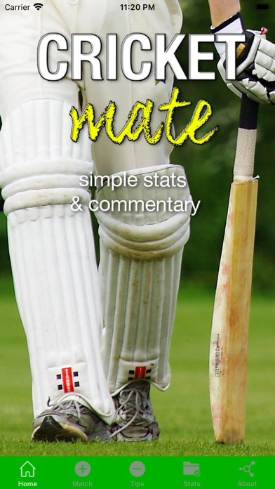 Скриншоты Cricket Mate