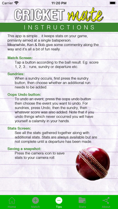 Скриншоты Cricket Mate