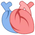 Test Medicina
