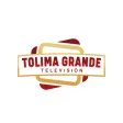 Tolima Grande Televisión