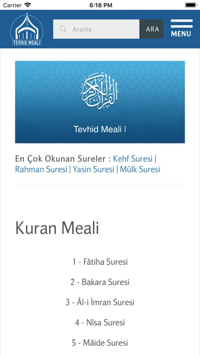 Tevhid Meali স্ক্রিনশট