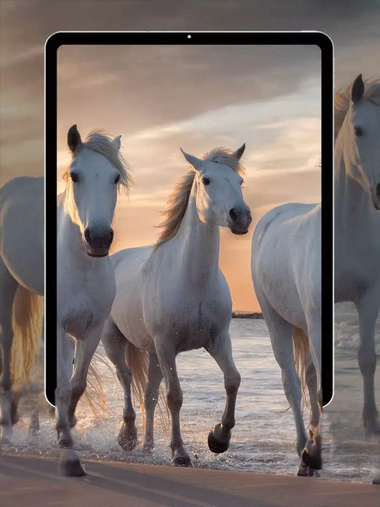 ภาพหน้าจอของ LV - 4K Live Wallpaper & Maker iPad 
