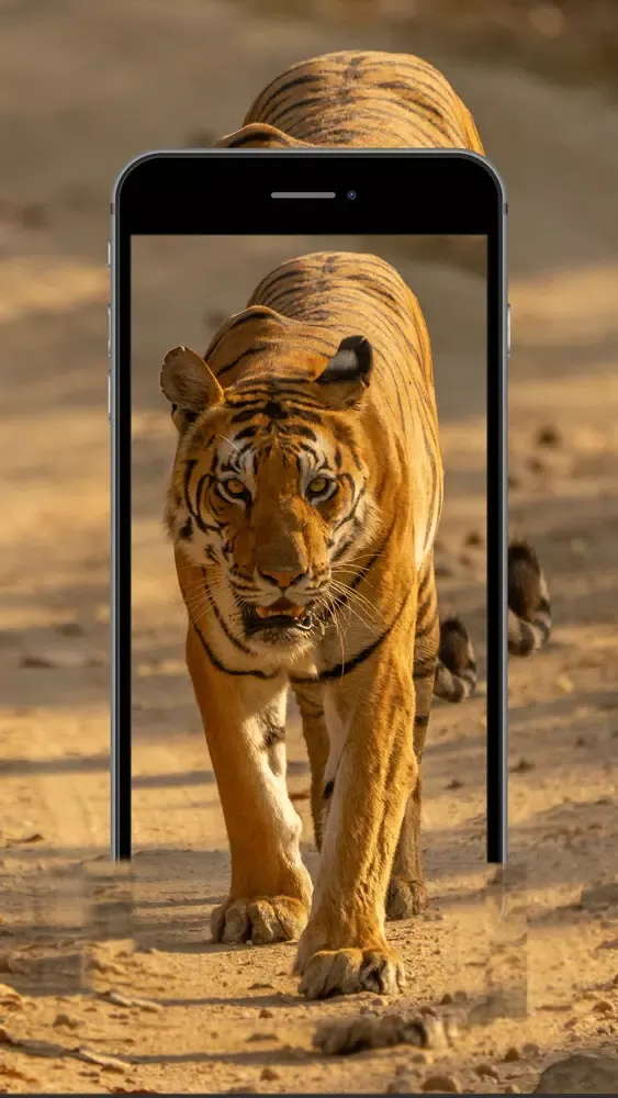ภาพหน้าจอของ LV - 4K Live Wallpaper & Maker