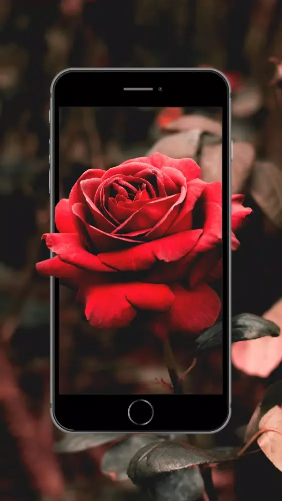 ภาพหน้าจอของ LV - 4K Live Wallpaper & Maker