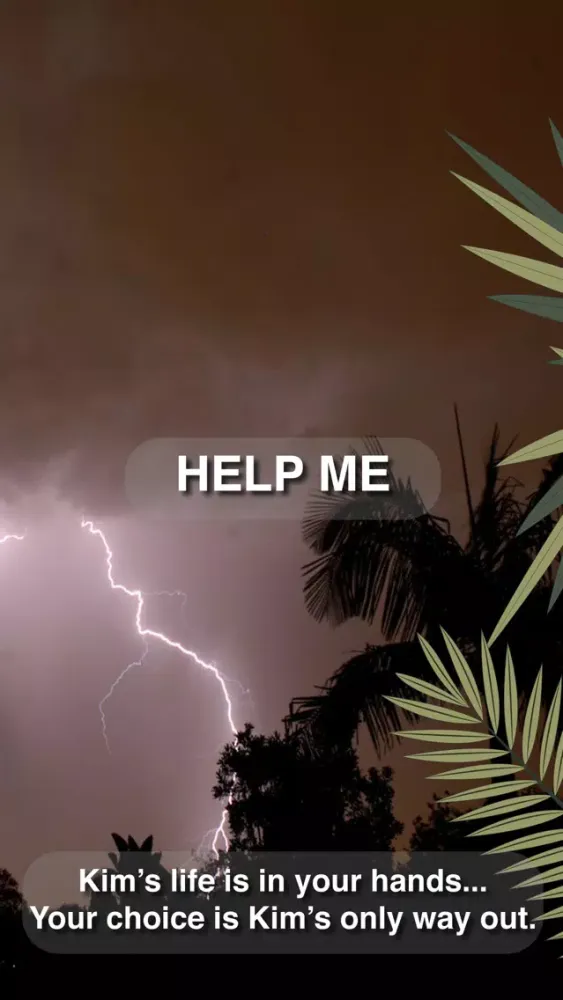 Kims Lifeline: creepy travel應用截圖