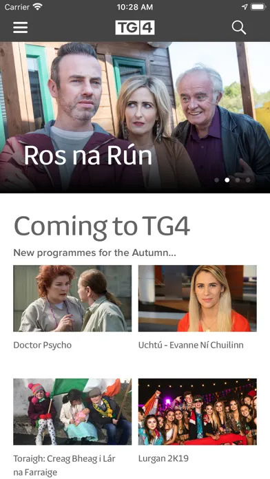 ภาพหน้าจอของ TG4 Player
