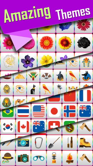 Connect 2 Pair Matching Puzzle Screenshots