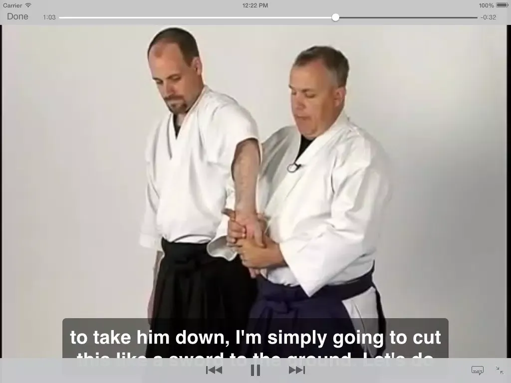 Aikido Fighting iPad 应用截图