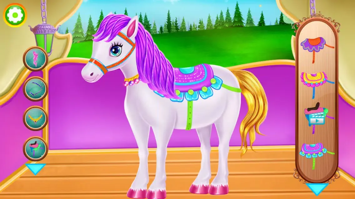 صور Horse Care Mane Braiding 2