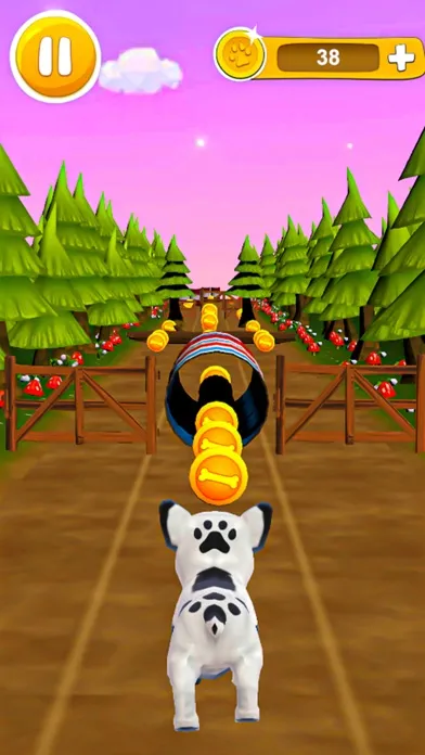 Capturas de tela do Dog Racing Puzzle Game Dog Run