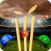 Play Live Cricket Game