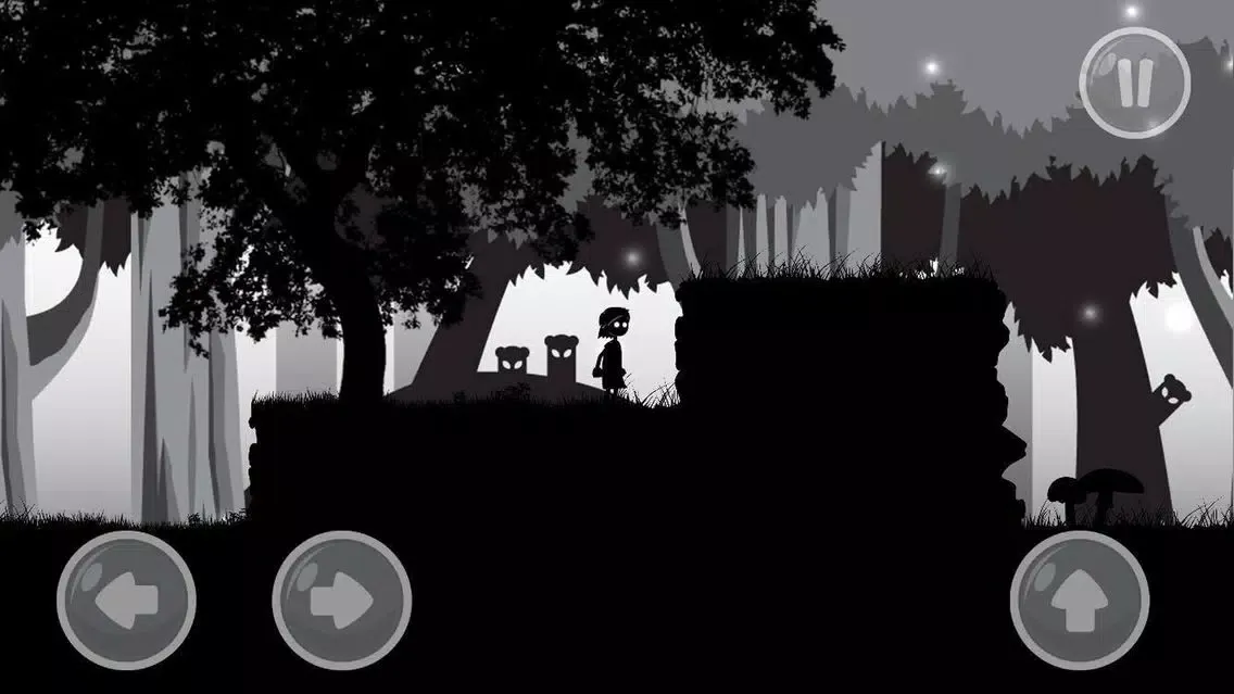 Zrzuty ekranu Black Shadows