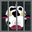 Cow Escape
