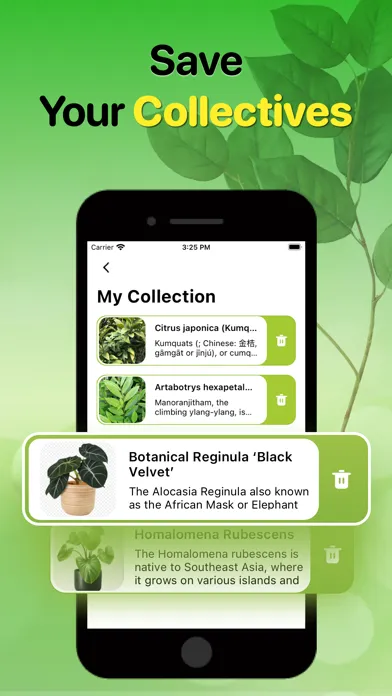 Plant Identifier And Care Tips应用截图