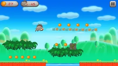 Zrzuty ekranu Super Pigwild Running Adventune