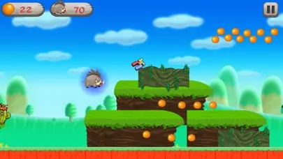 Zrzuty ekranu Super Pigwild Running Adventune