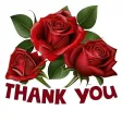 Thank You - GIF & Stickers