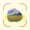 Rock Identifier Stone Scanner+