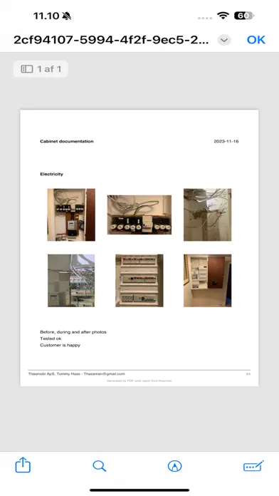 Capturas de tela do PDF Work Report