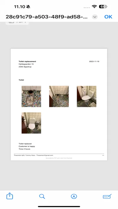 Capturas de tela do PDF Work Report