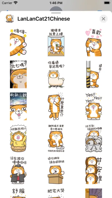 白爛貓21 超巨大 Ekran Görüntüleri