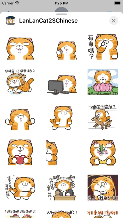 白爛貓 23 一起動 Screenshots