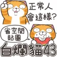 白爛貓43 省空間