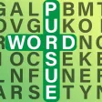 Word Pursue Word Pursue