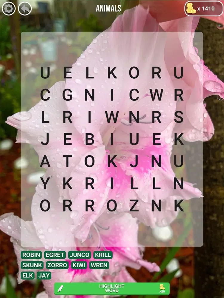 Word Pursue iPad  سکرین شاٹس