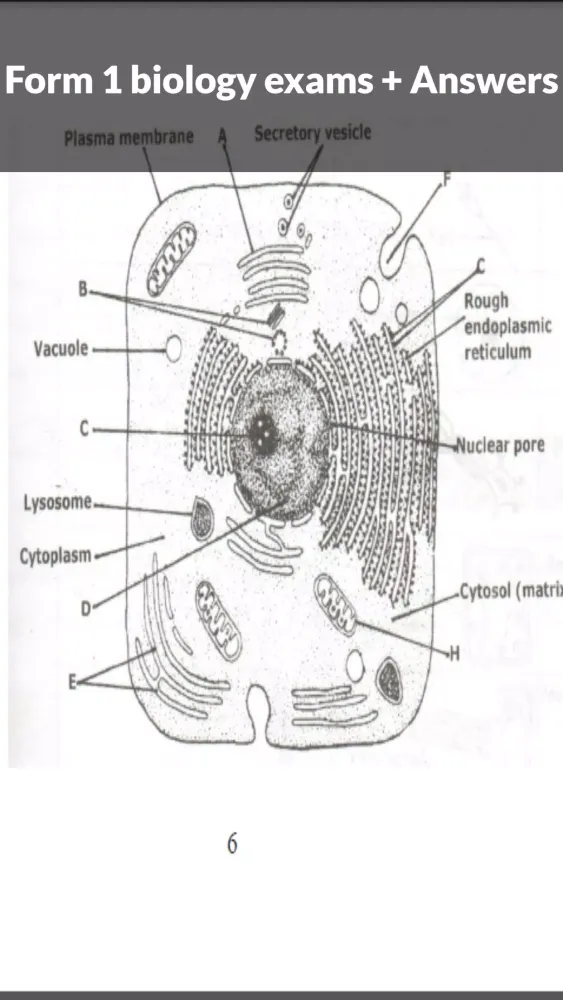 Screenshot di Biology Form 1 Exams + Answers