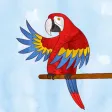 Jazzy World Animals