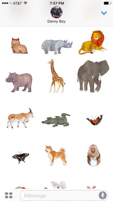 Jazzy World Animals Screenshots