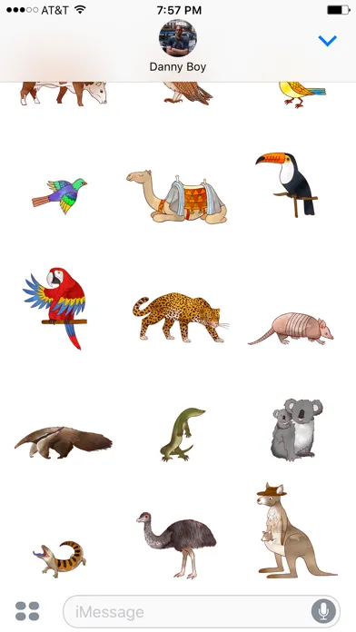Jazzy World Animals Screenshots