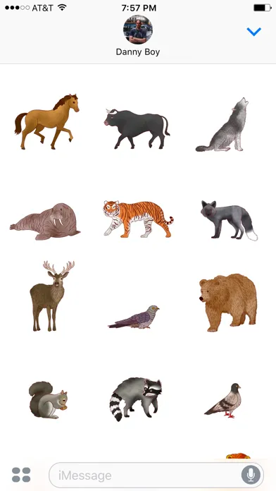 Jazzy World Animals Screenshots