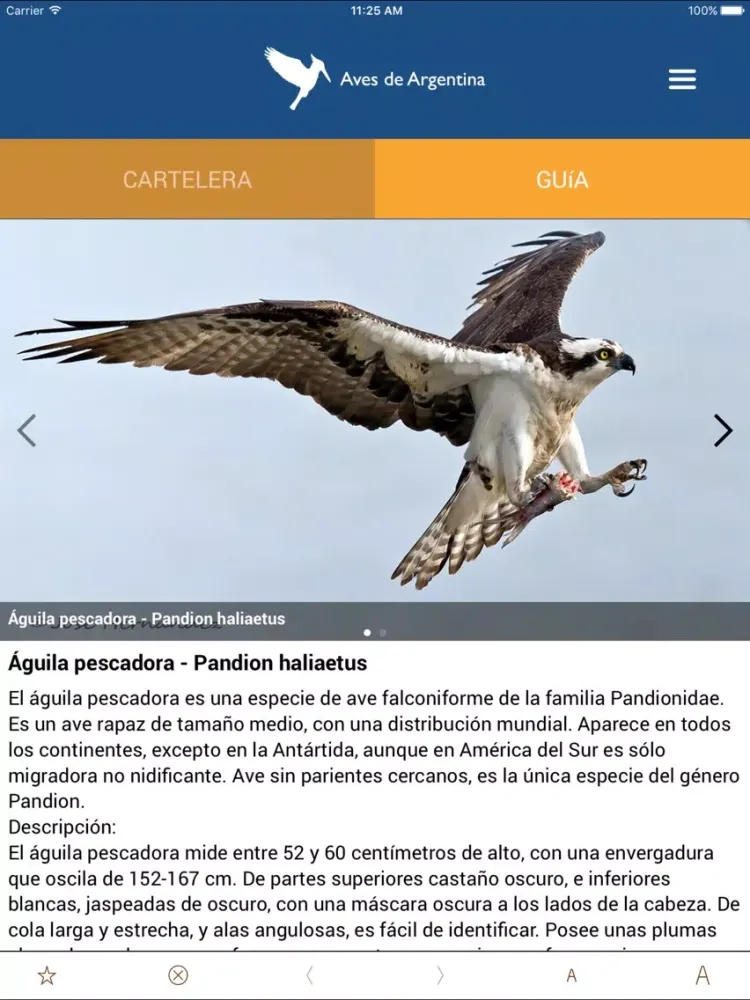 Aves de Argentina iPad 應用截圖