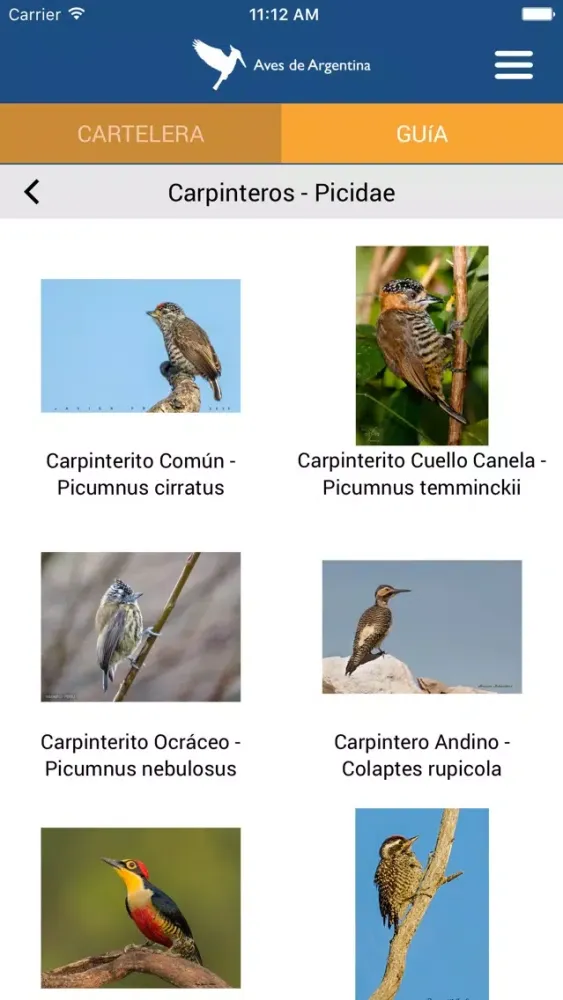 Aves de Argentina應用截圖