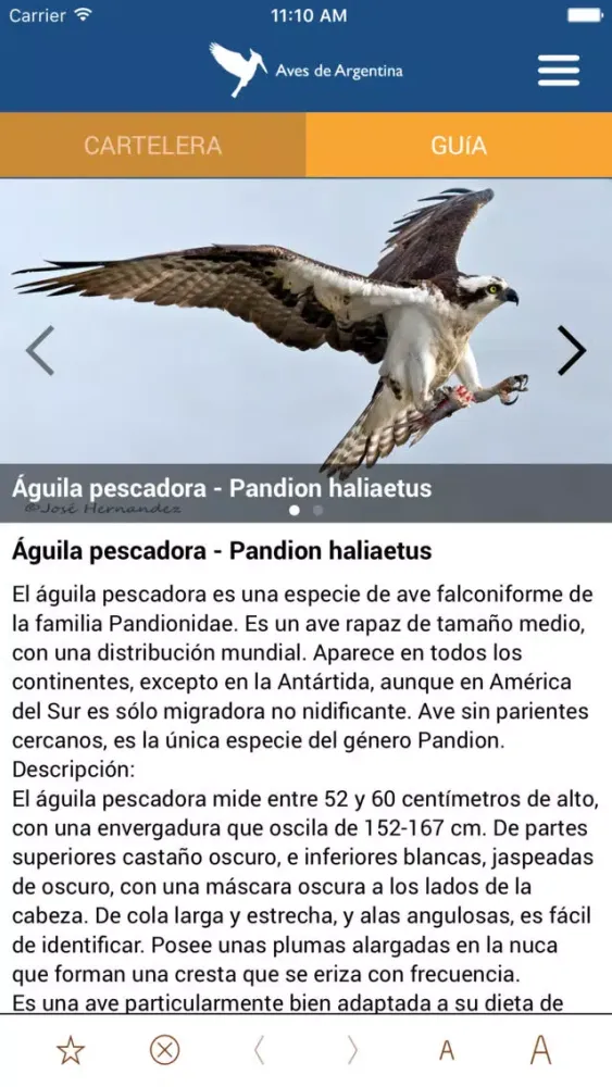 Aves de Argentina應用截圖