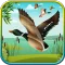 Duck Hunting 3D: Classic Hunt