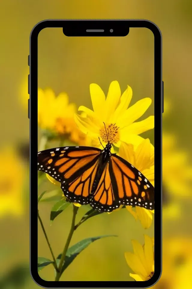 Fondos de Pantalla Bonitos Ekran Görüntüleri