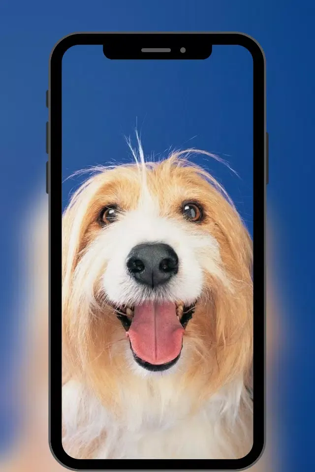 Fondos de Pantalla Bonitos Ekran Görüntüleri