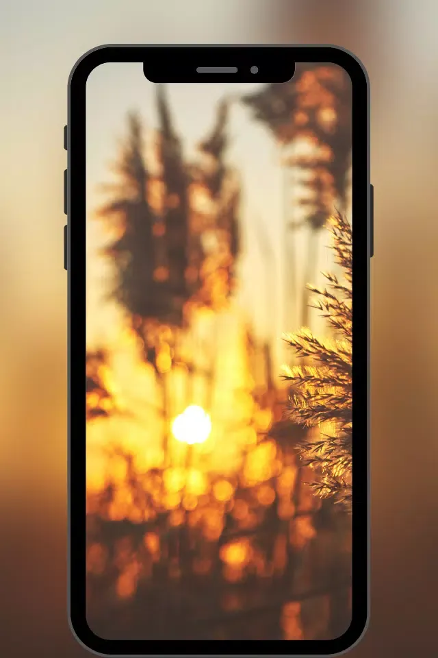 Fondos de Pantalla Bonitos Ekran Görüntüleri