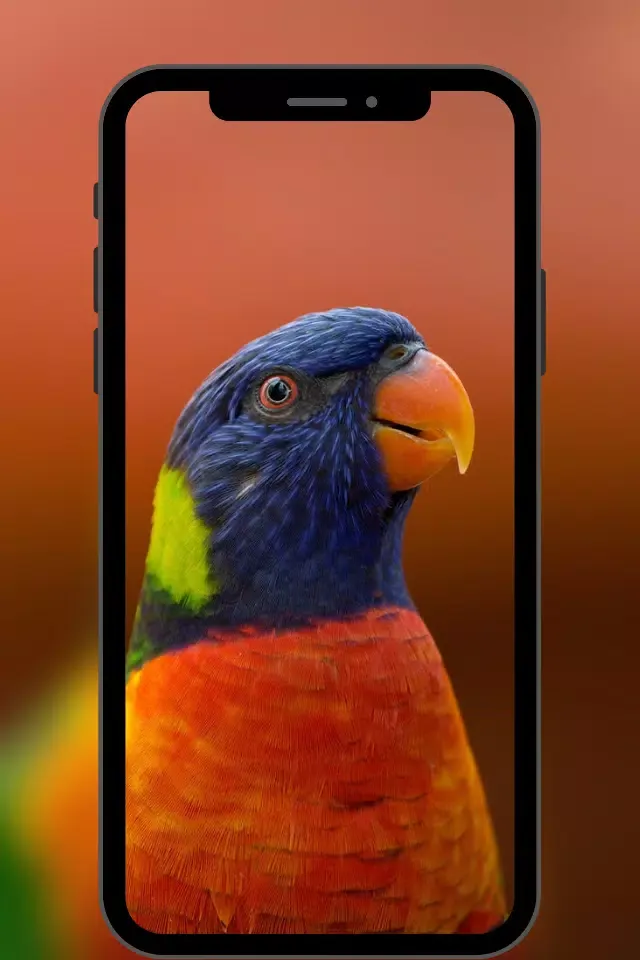 Fondos de Pantalla Bonitos Ekran Görüntüleri