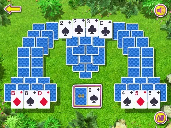 Summer Solitaire The Card Game iPad 应用截图