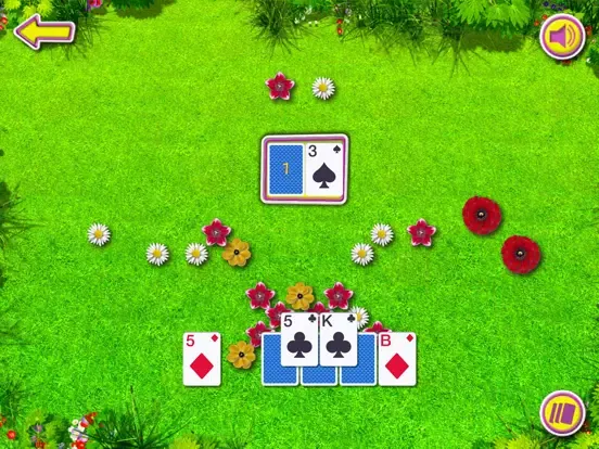 Summer Solitaire The Card Game iPad 应用截图